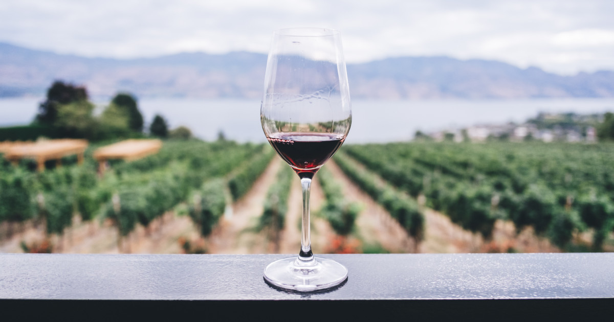 Wine Will Make You Do the Craziest Things