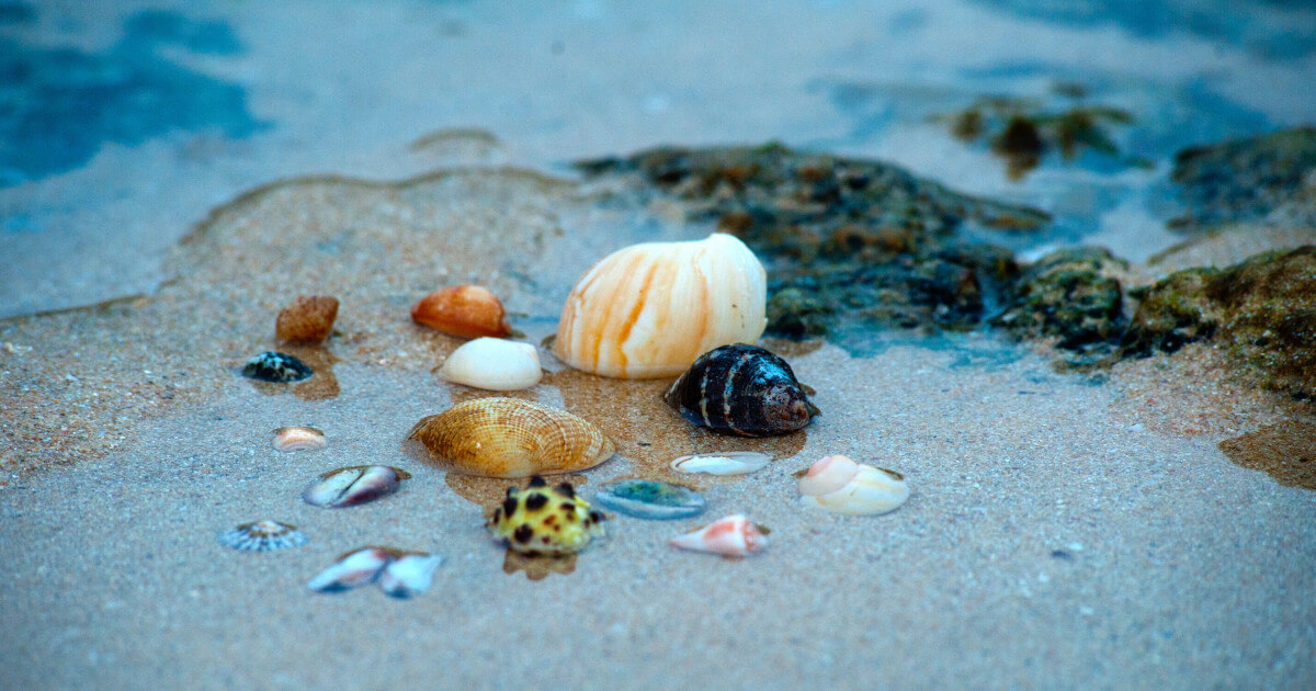 Quickly Run Shell Commands With Komodo IDE
