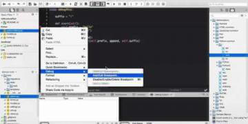 debugigng ide