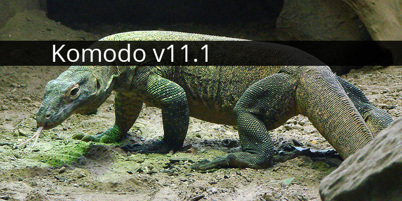 as komodo v11