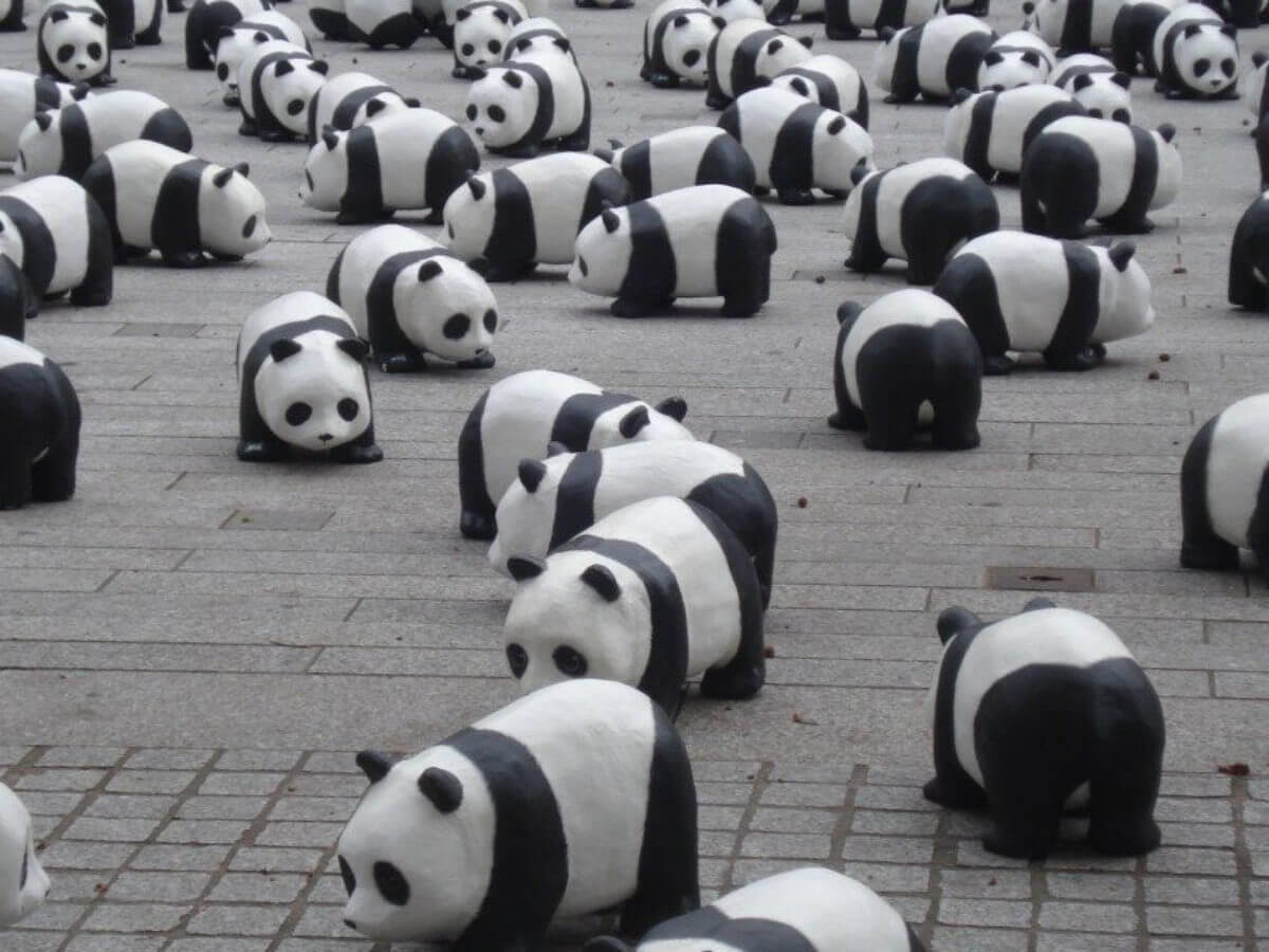 pandas python machine learning