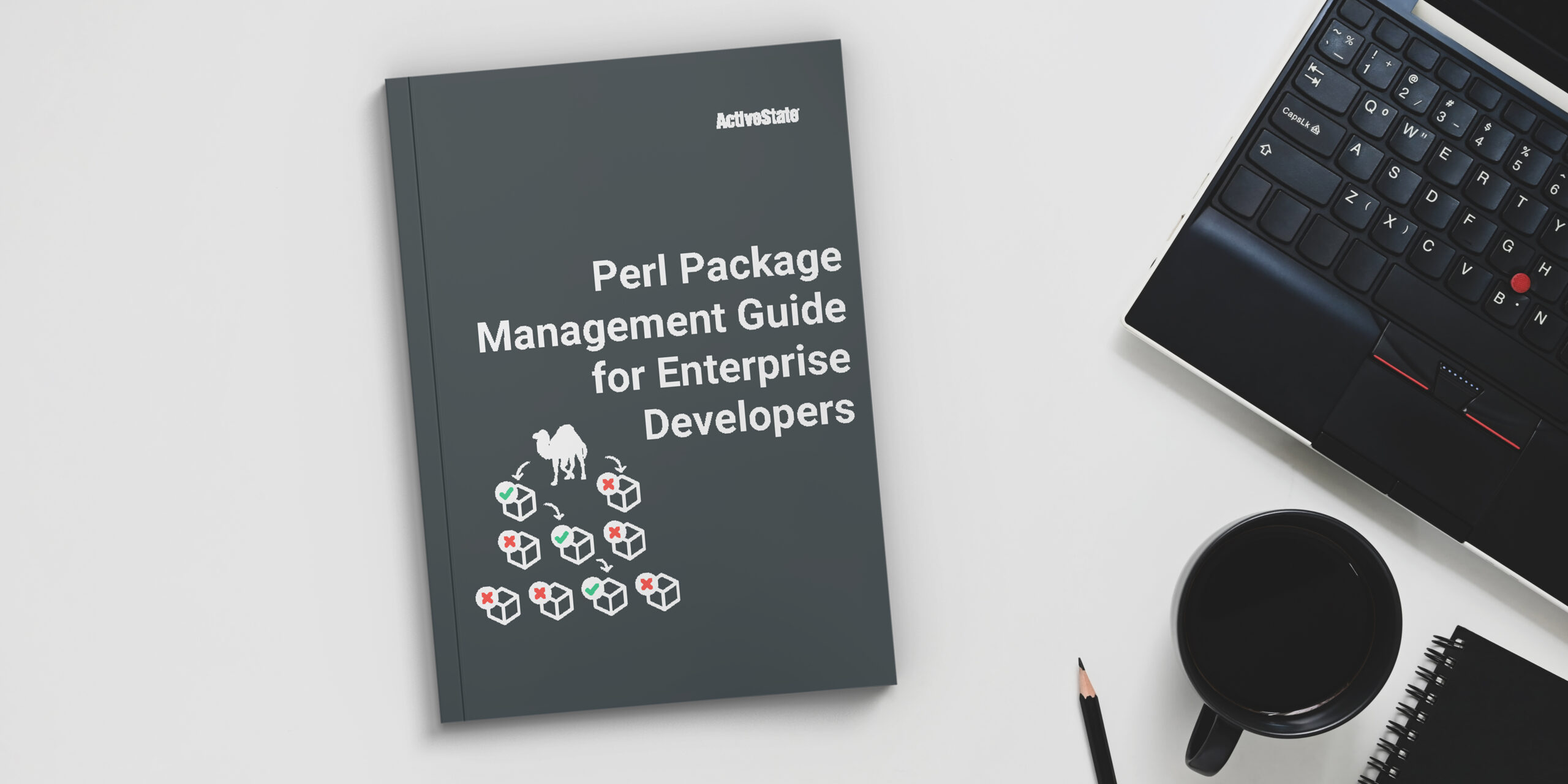 modern perl package management